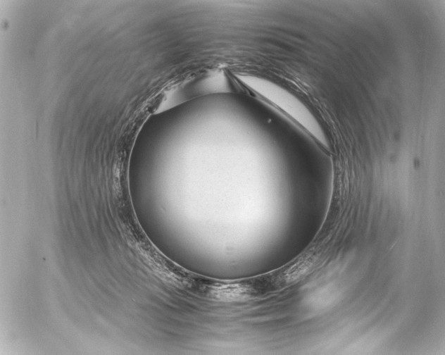 X0000054470269200508191735