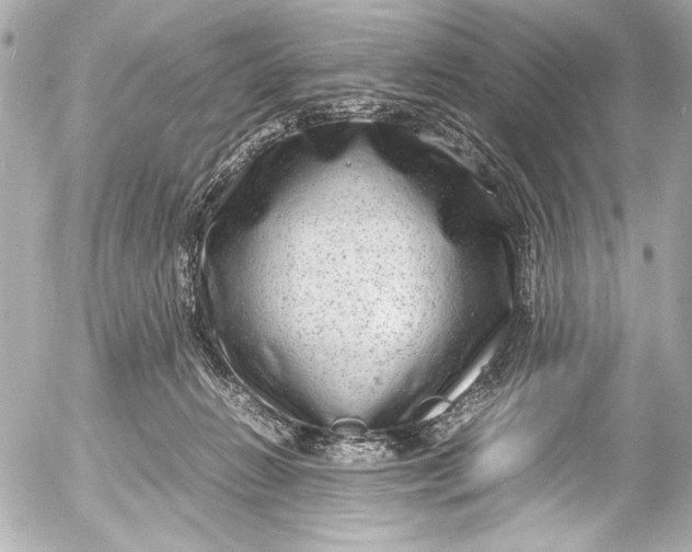 X0000054470270200508191735