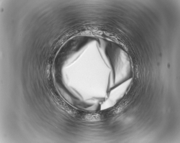 X0000054470271200508191735