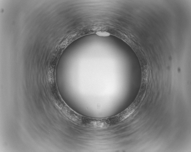 X0000054470272200508191735