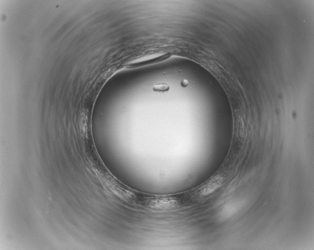 X0000054470274200508191735