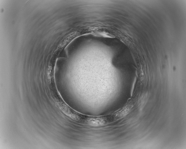 X0000054470275200508191735