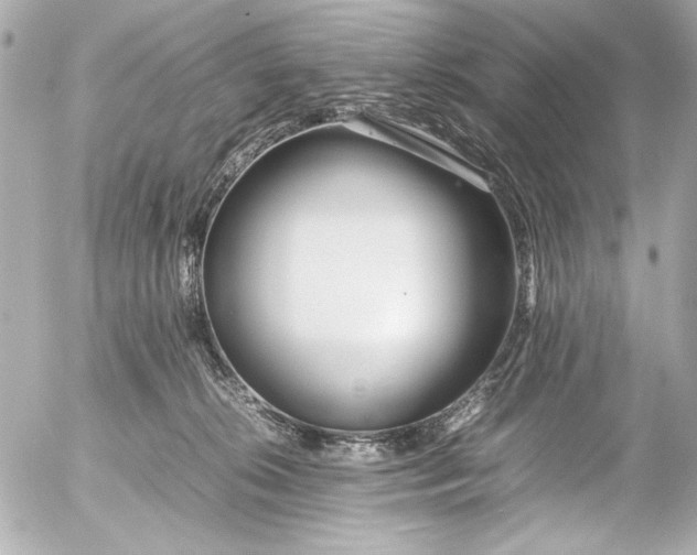 X0000054470276200508191735