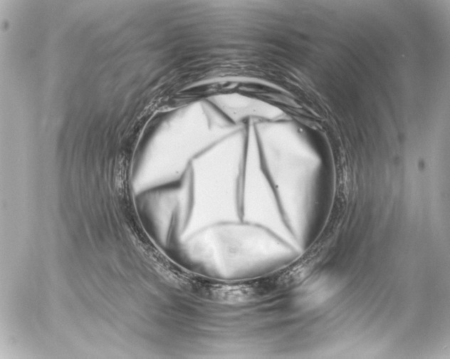 X0000054470277200508191735