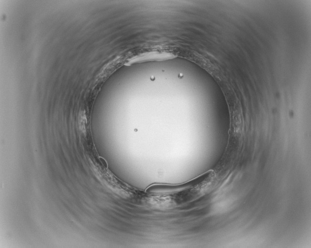 X0000054470279200508191736