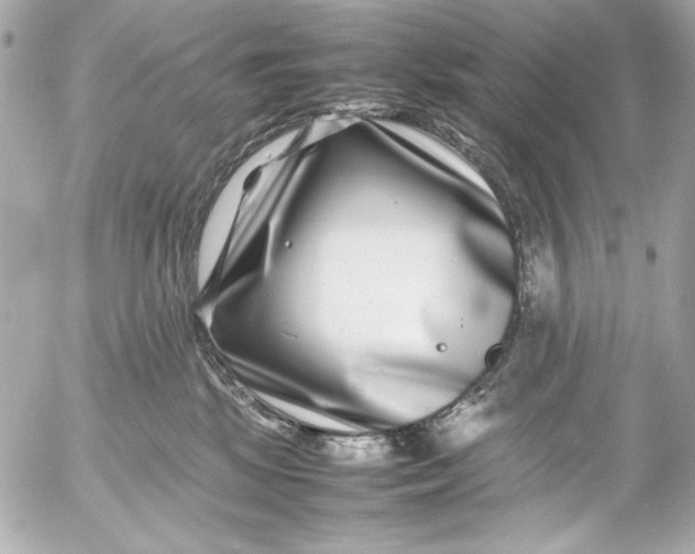 X0000054470281200508191736