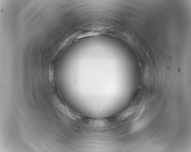 X0000054470282200508191736