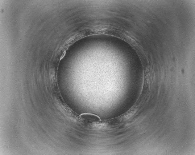 X0000054470283200508191736