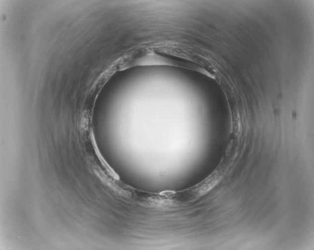 X0000054470284200508191736