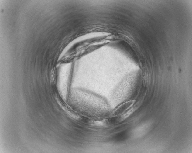 X0000054470285200508191736