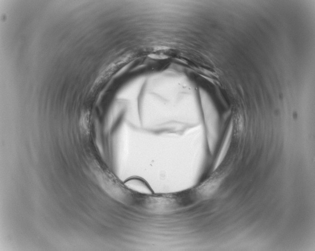 X0000054470286200508191736