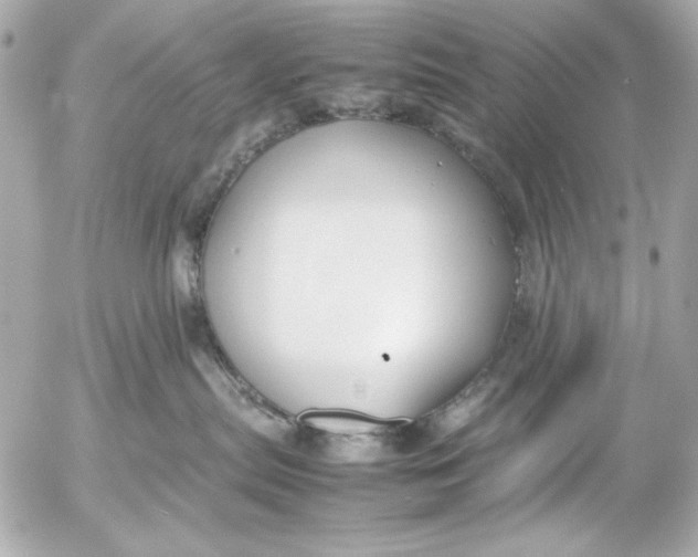 X0000054470287200508191736