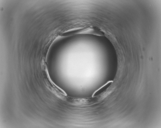 X0000054470288200508191736