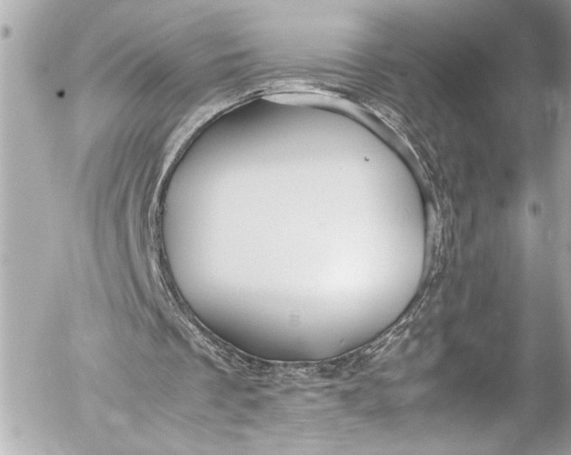 X0000054470289200508191735