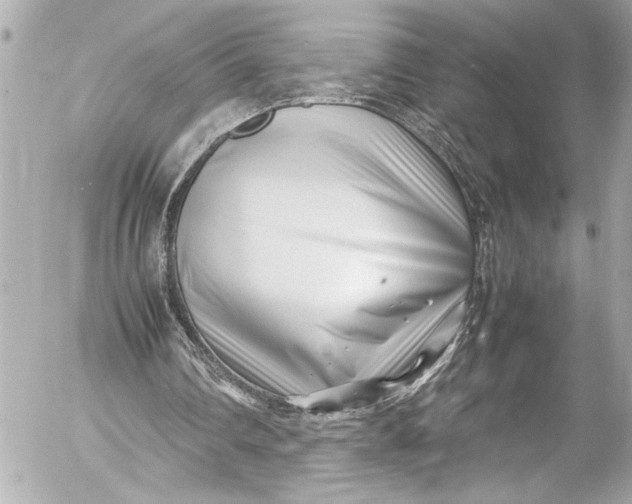 X0000054470290200508191735