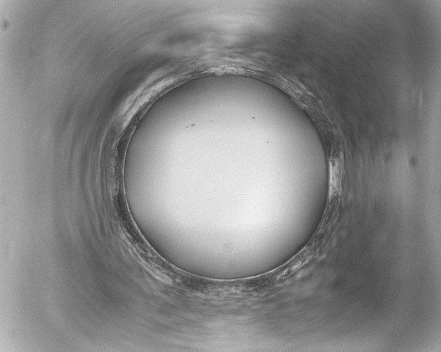 X0000054470291200508191735