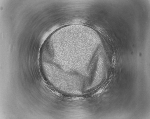 X0000054470292200508191735