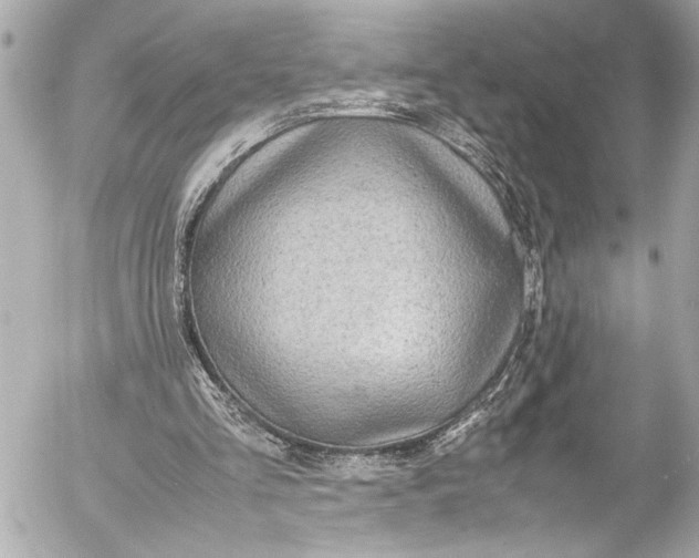 X0000054470293200508191735