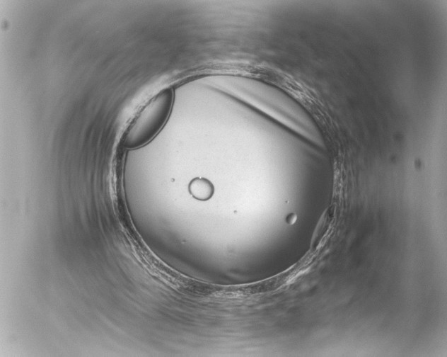 X0000054470294200508191735