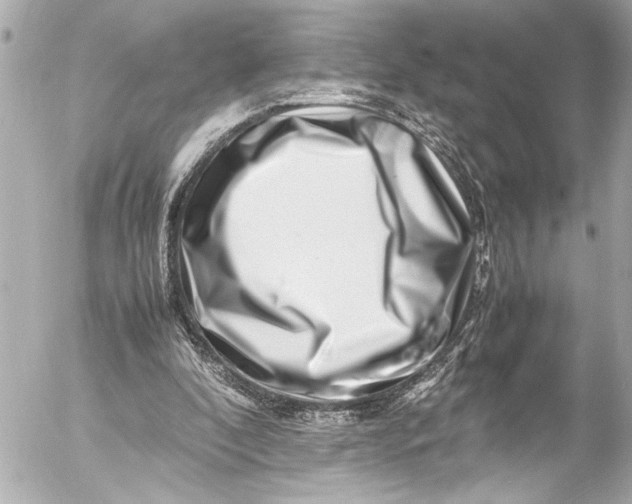 X0000054470296200508191735