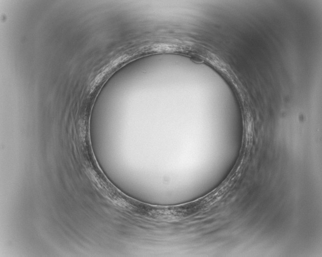 X0000054470297200508191735