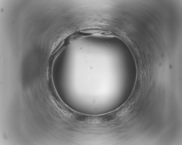 X0000054470299200508191735