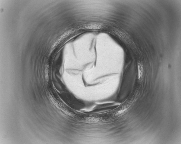 X0000054470300200508191735