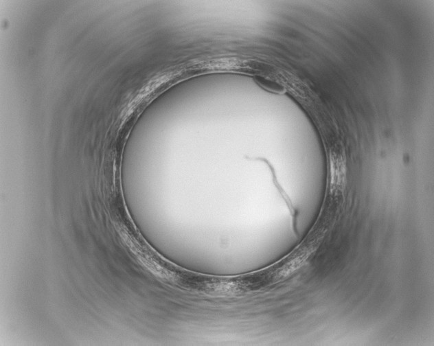 X0000054470301200508191735