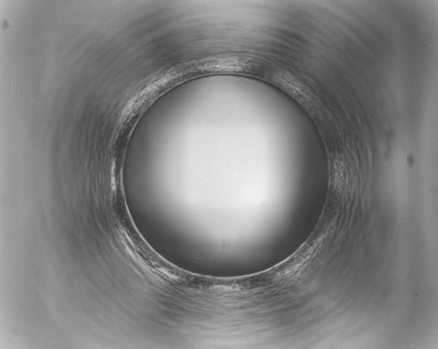 X0000054470302200508191735