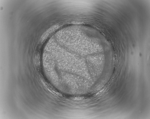 X0000054470303200508191735