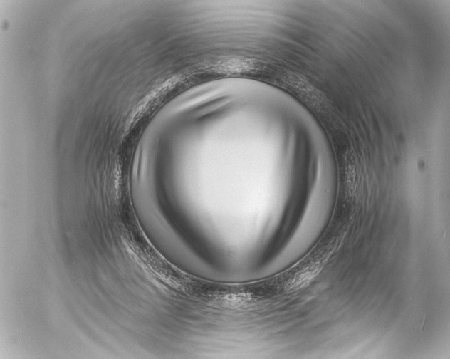 X0000054470304200508191735