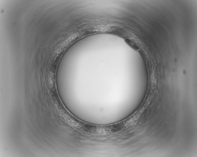 X0000054470305200508191735