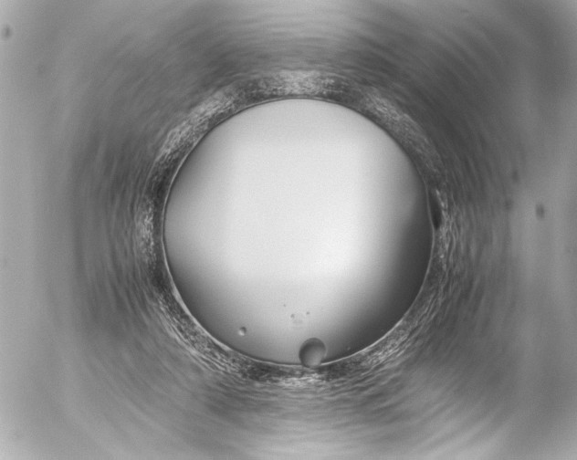 X0000054470306200508191735