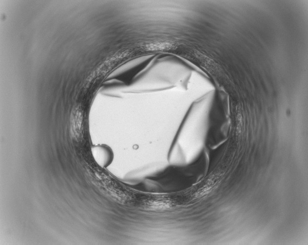 X0000054470308200508191735