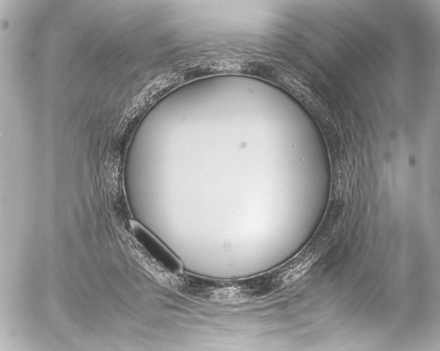 X0000054470309200508191735