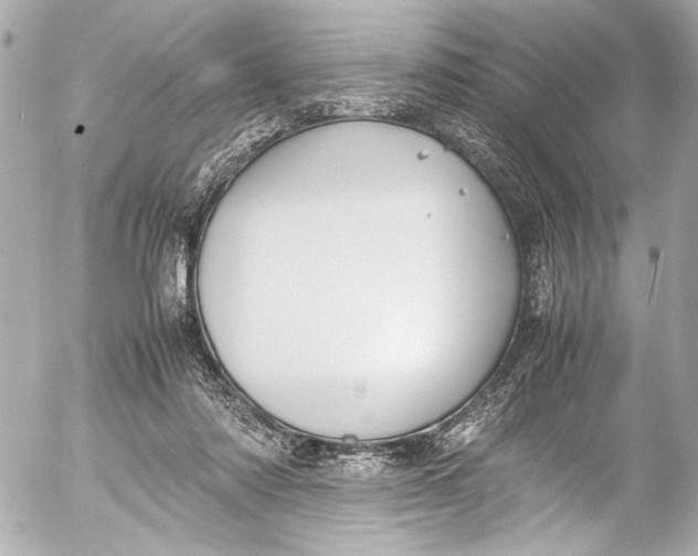 X0000054470310200508191735