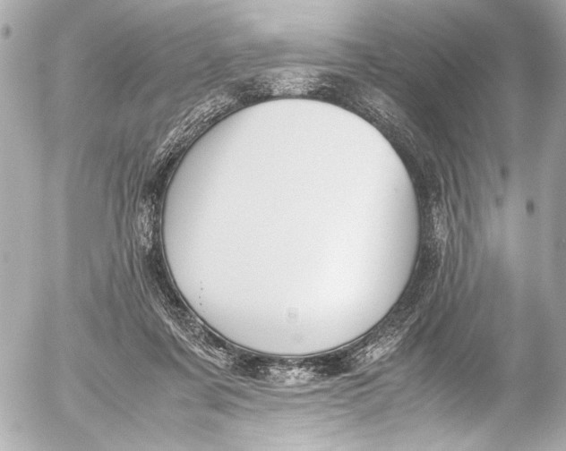 X0000054470311200508191735