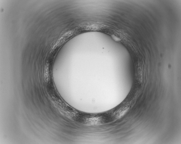 X0000054470312200508191734