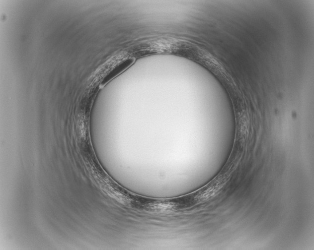 X0000054470313200508191734