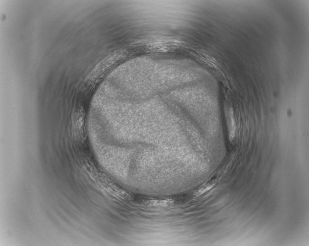 X0000054470314200508191734