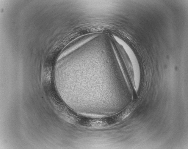 X0000054470315200508191734