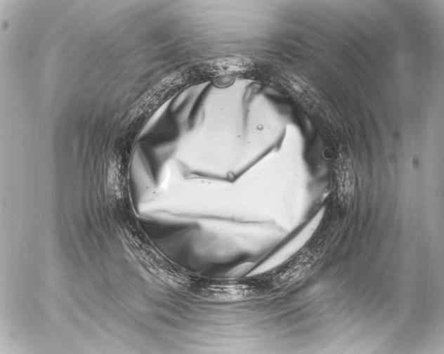 X0000054470316200508191734