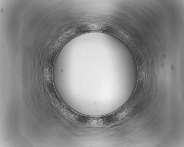 X0000054470317200508191734