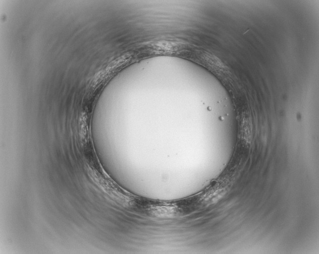 X0000054470318200508191734