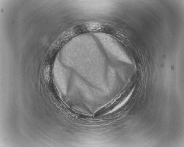 X0000054470319200508191734