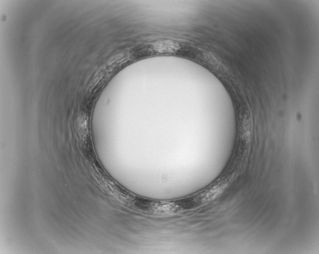 X0000054470321200508191734