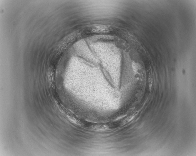 X0000054470322200508191734