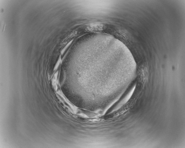 X0000054470323200508191734