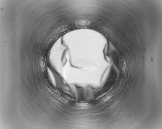 X0000054470324200508191734