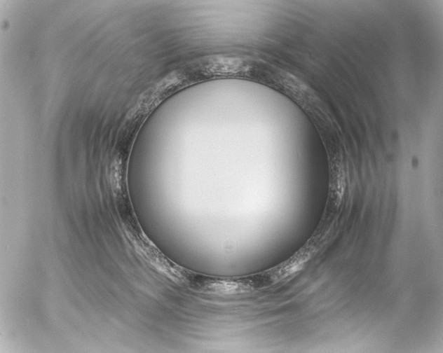 X0000054470326200508191734